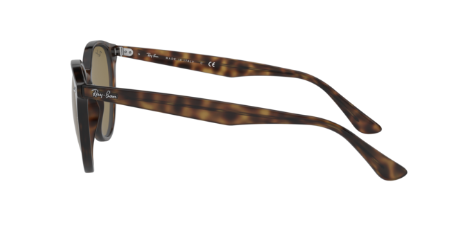 Sunglasses Ray-Ban RB4305 710/73 8056597071604 | Ottica Lux Sunglasses Ray-Ban RB4305 710/73 8056597071604 | Ottica Lux