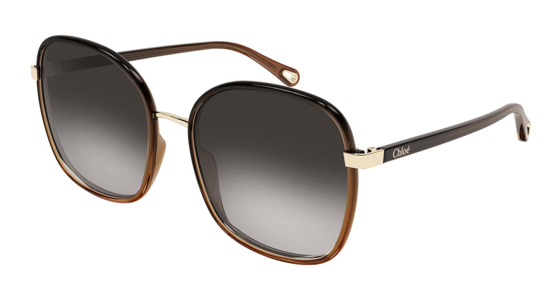 Sunglasses Chloé CH0031S 005 8056376378917 | Ottica Lux