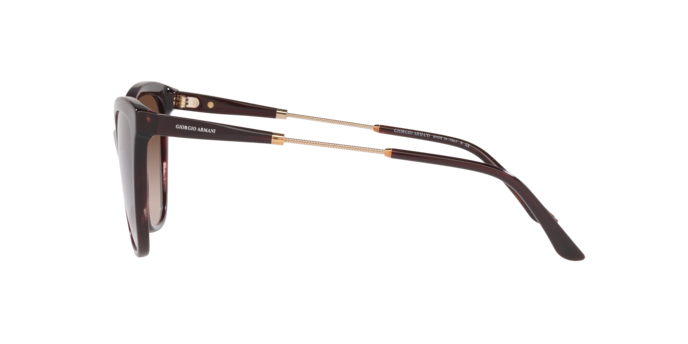 Occhiali da sole Giorgio Armani AR8186U 508973 8056262049365 | Ottica Lux