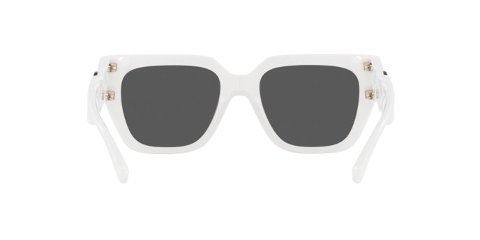 Occhiali da sole Versace VE4409 314/87 8056597524322 | Ottica Lux