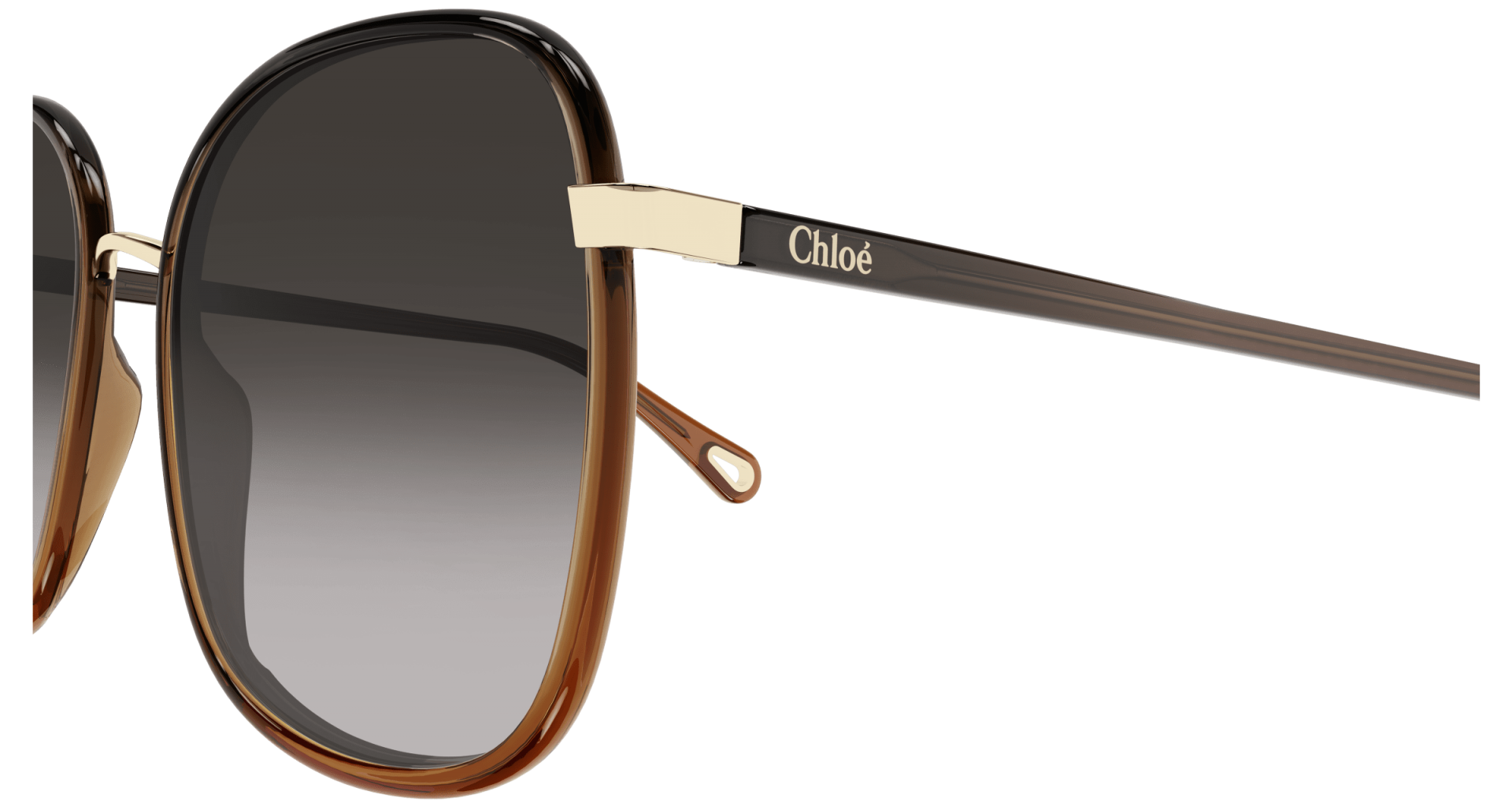 Occhiali da sole Chloé CH0031S 005 8056376378917 | Ottica Lux