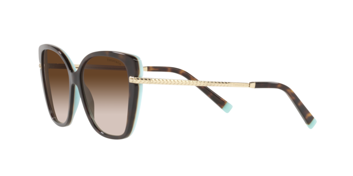 Occhiali da sole Tiffany & Co. TF4190 81343B 8056597603430 | Ottica Lux