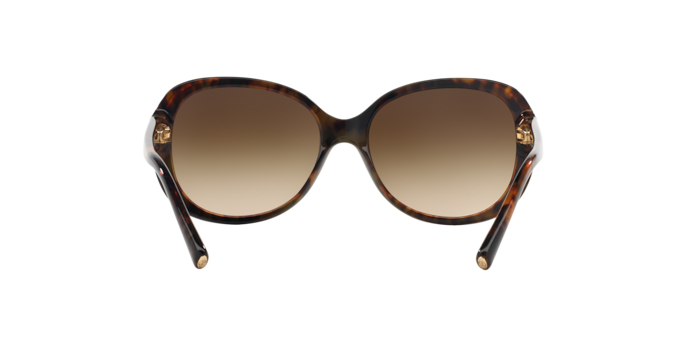 Occhiali da sole Giorgio Armani ar8047 639913 8056262874561 | Ottica Lux