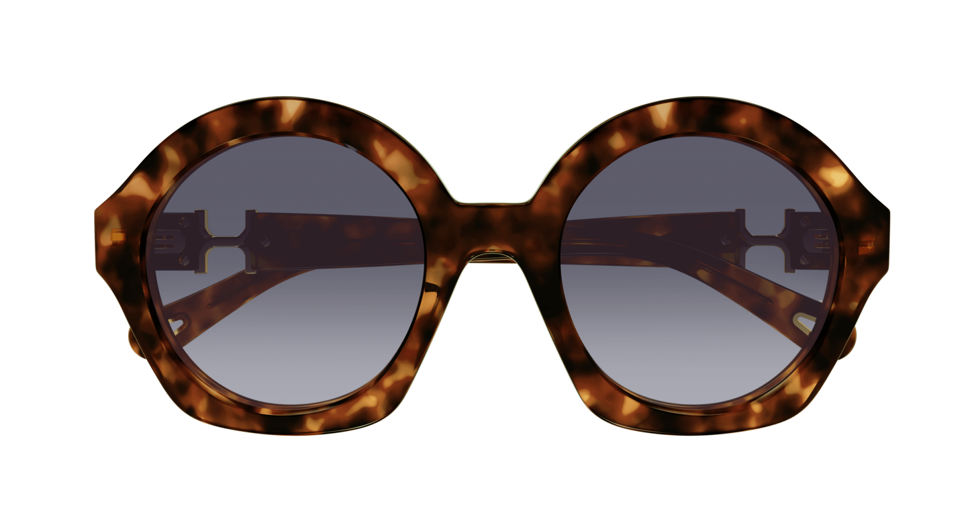Sunglasses Chloé CH0302S 002 8056376561685 | Ottica Lux