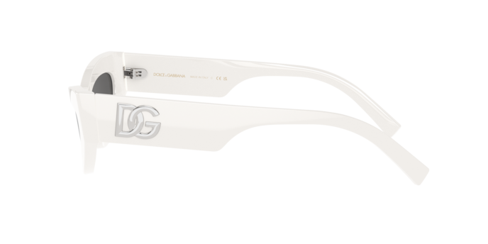 Sunglasses Dolce & Gabbana DG4463 502/13 8056262058596 | Ottica Lux