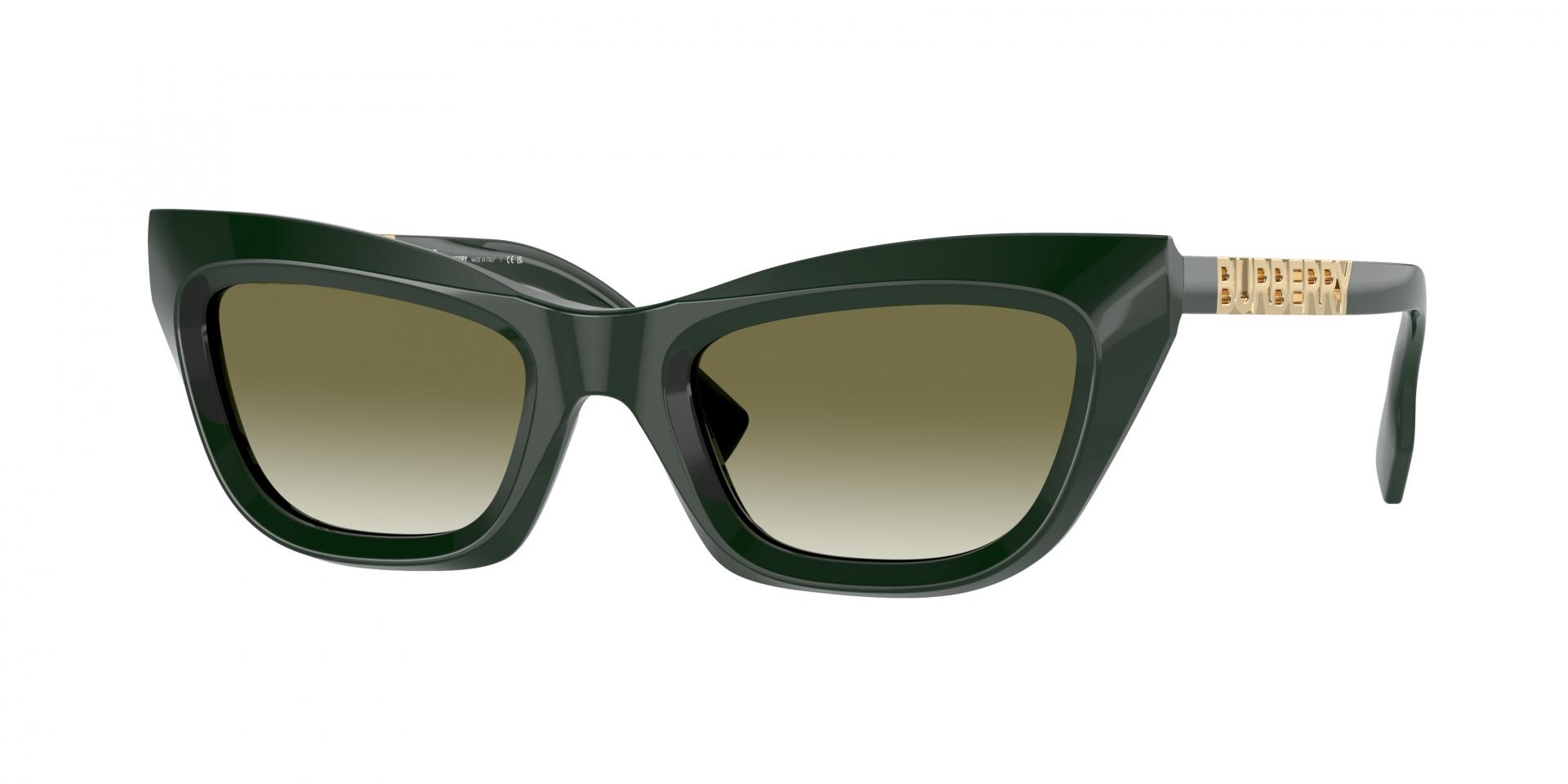 Occhiali da sole Ray-Ban rb2299 LADY BURBANK 901/R5 8056262895559 | Ottica Lux