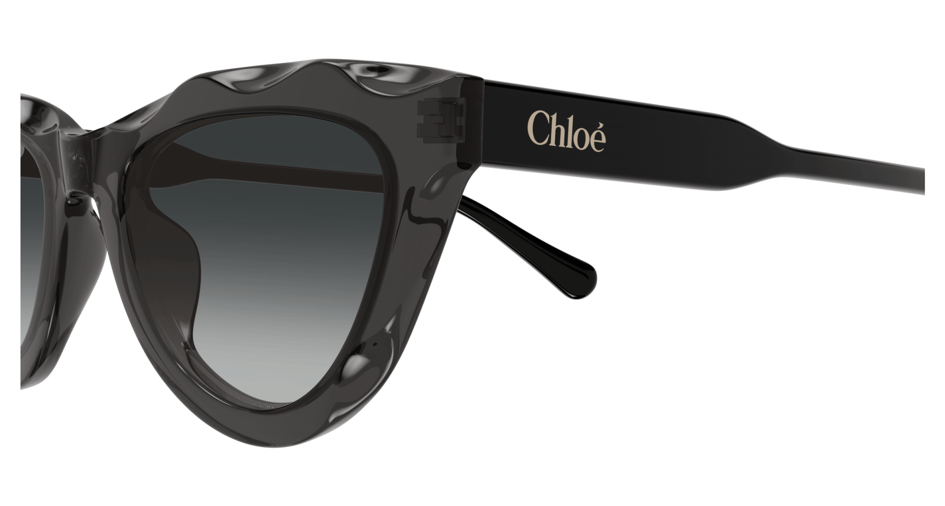 Sunglasses Chloé CH0294S 001 8056376561319 | Ottica Lux