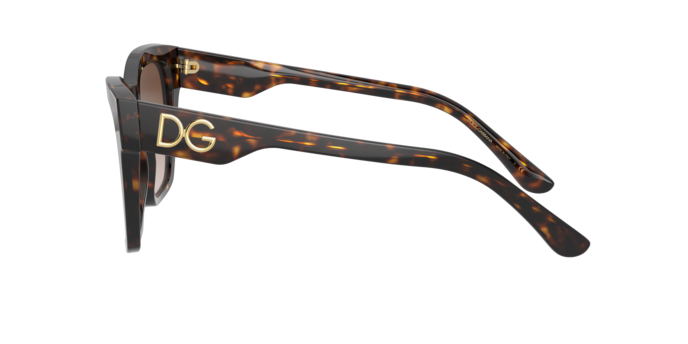 Sunglasses Dolce & Gabbana DG4384 502/13 8056597371896 | Ottica Lux