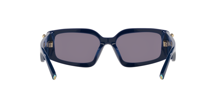 Sunglasses Tiffany & Co. TF4208U 83842S 8056597889001 | Ottica Lux Sunglasses Tiffany & Co. TF4208U 83842S 8056597889001 | Ottica Lux