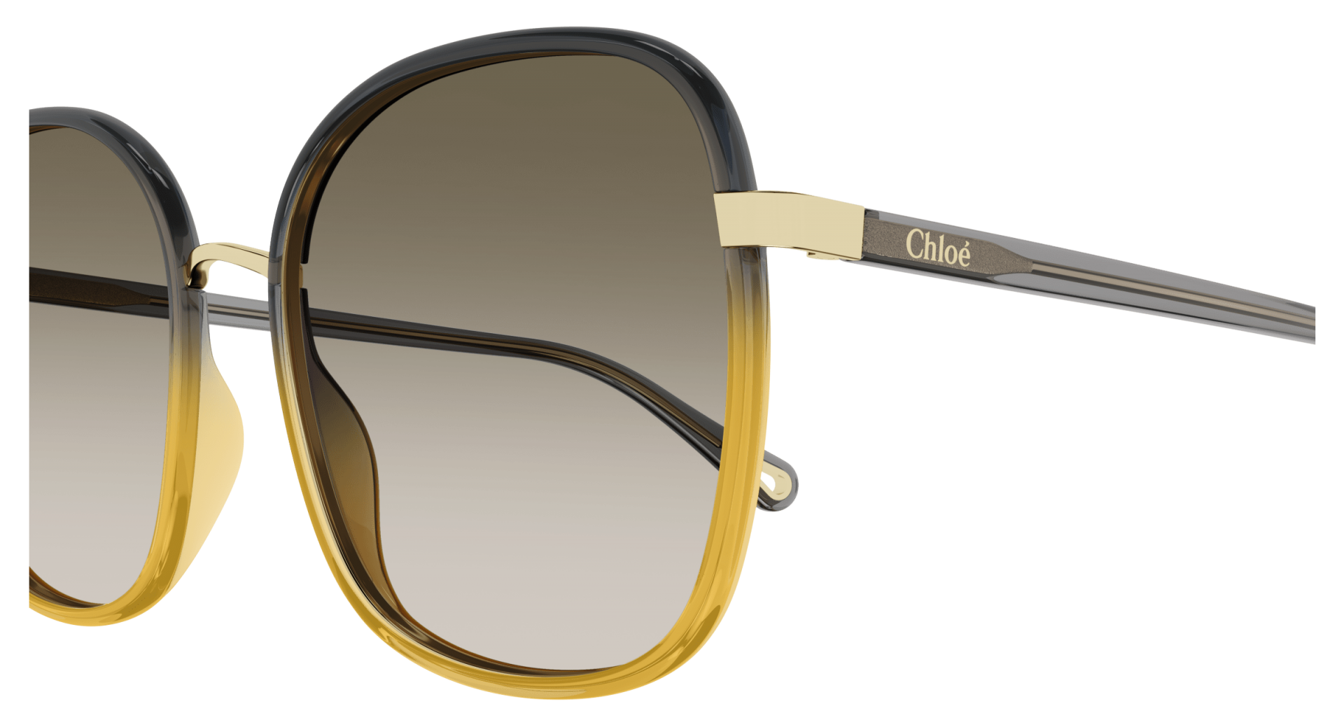 Occhiali da sole Chloé CH0031S 010 8056376472066 | Ottica Lux