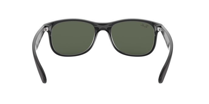 Occhiali da sole Ray-Ban RB4202 ANDY 606971 8053672188868 | Ottica Lux