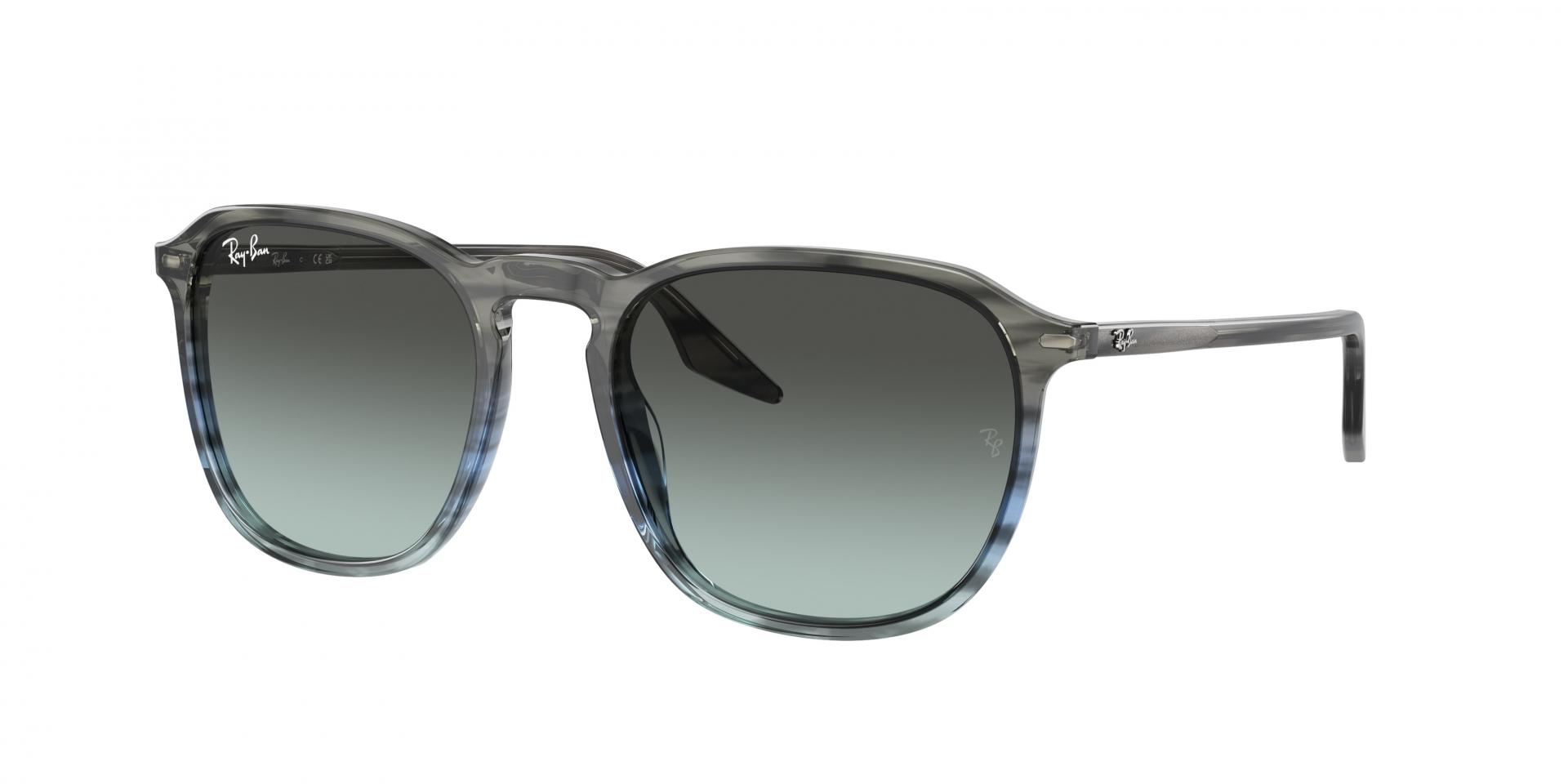 Occhiali da sole Ray-Ban RB2203 1391GK 8056597936347 | Ottica Lux