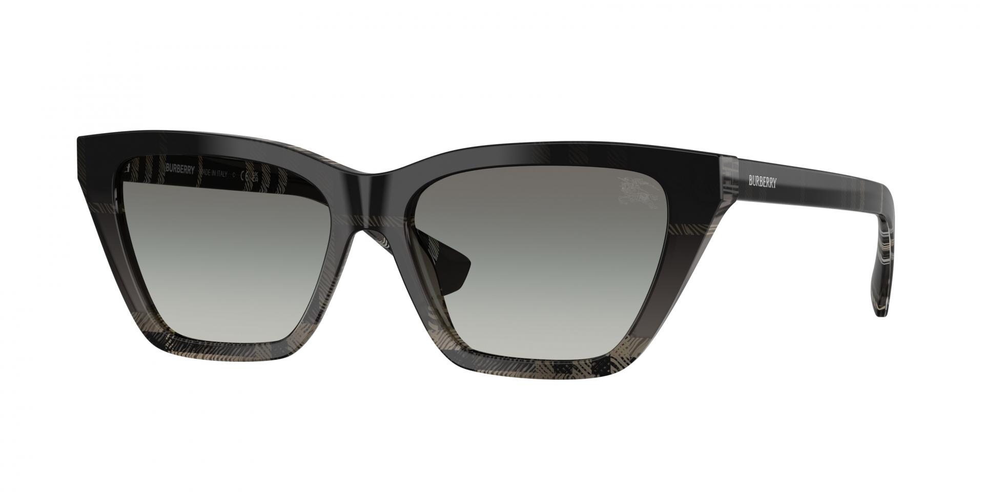 Sunglasses Michael Kors MK1157D SANYA 110884 0725125513470 | Ottica Lux