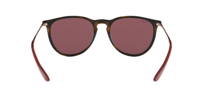 Sunglasses Ray-Ban RB4171 ERIKA 639175 8053672977189 | Ottica Lux Sunglasses Ray-Ban RB4171 ERIKA 639175 8053672977189 | Ottica Lux