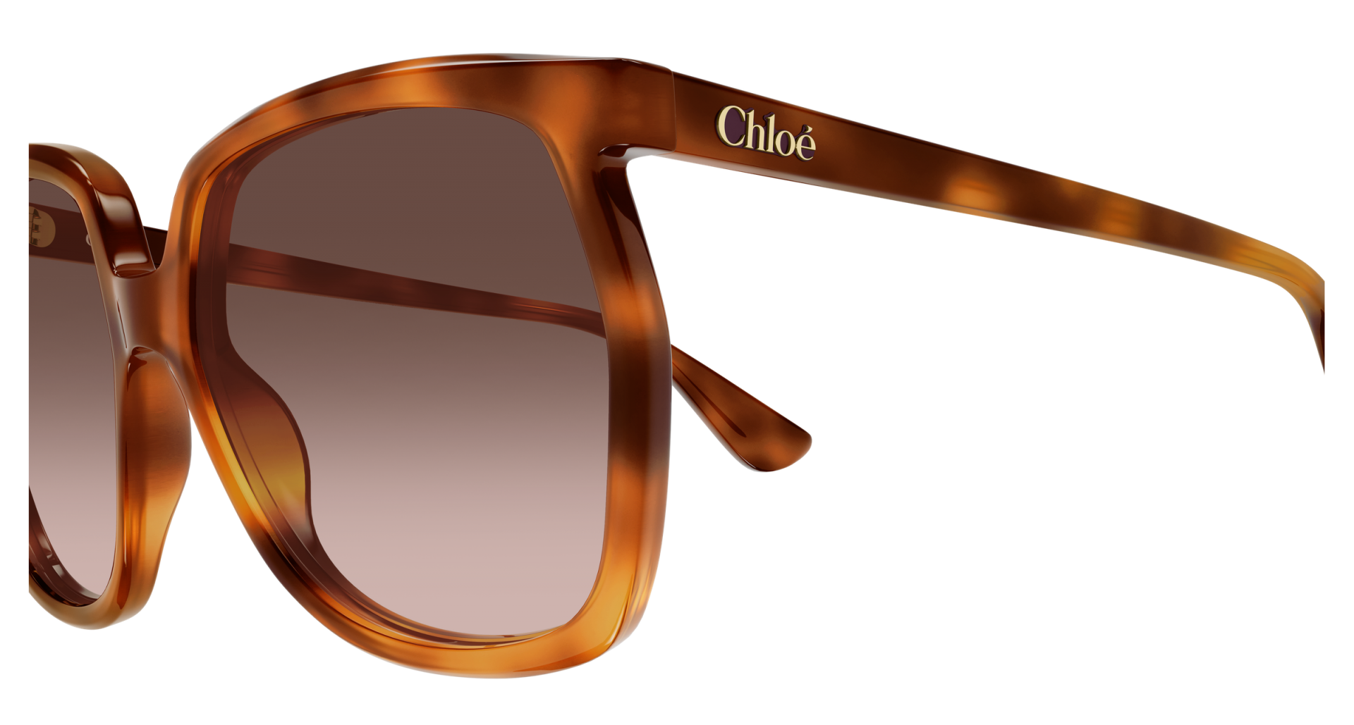 Occhiali da sole Chloé CH0389S 002 8056376700886 | Ottica Lux