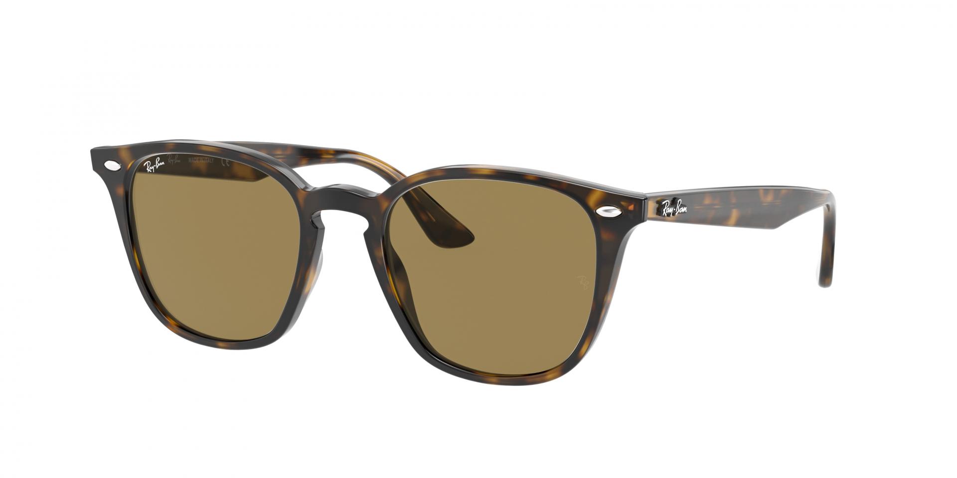 Sunglasses Ray-Ban RB4258 710/73 8053672636505 | Ottica Lux