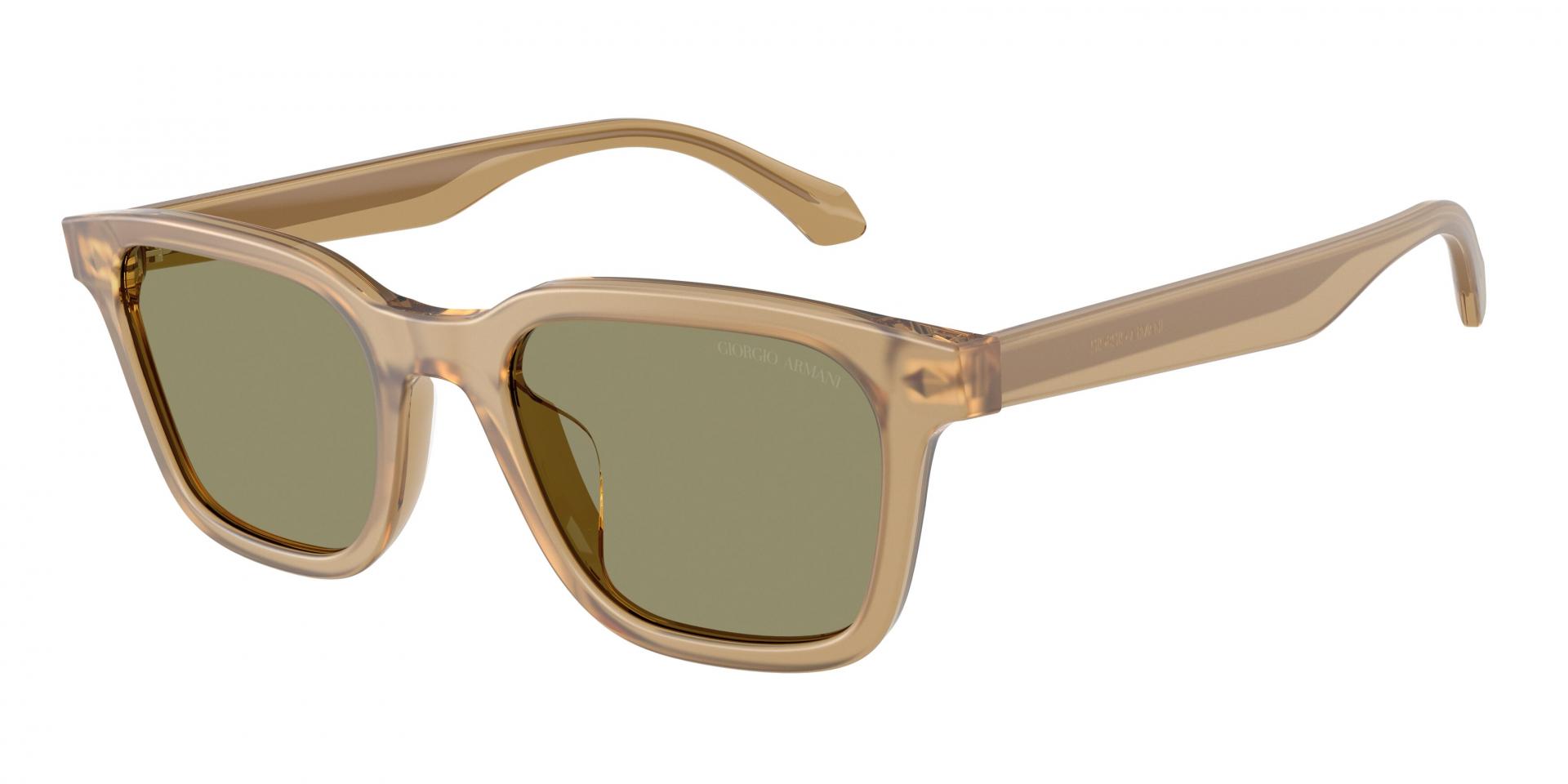 Sunglasses Giorgio Armani AR6188 304519 8056262998410 | Ottica Lux