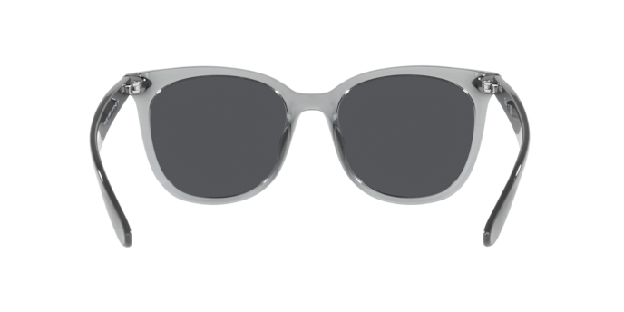 Sunglasses Ray-Ban RB4379D 659987 8056597665568 | Ottica Lux Sunglasses Ray-Ban RB4379D 659987 8056597665568 | Ottica Lux