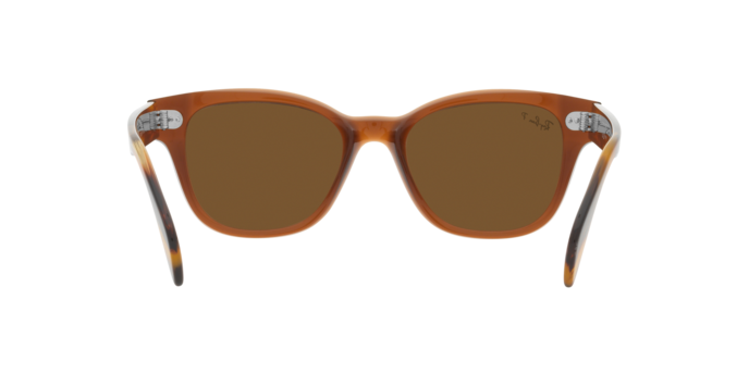 Occhiali da sole Ray-Ban RB0880S 664057 8056597720571 | Ottica Lux