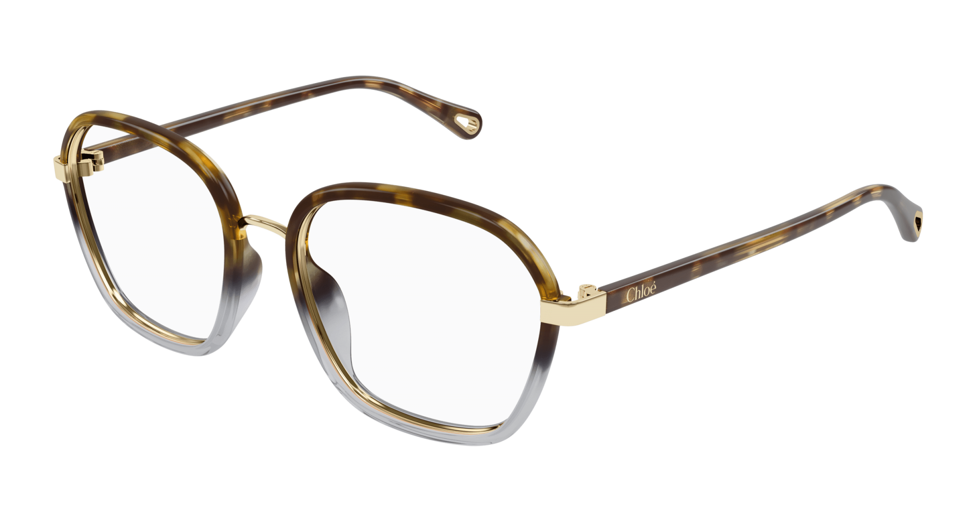 Ophthalmic frames Chloé CH0309O 003 8056376562026 | Ottica Lux