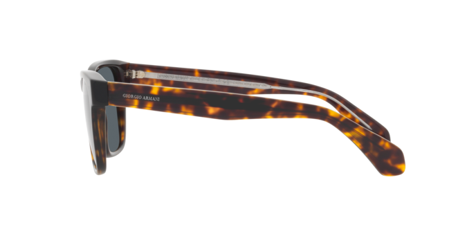 Occhiali da sole Giorgio Armani AR8171 587932 8056597974226 | Ottica Lux