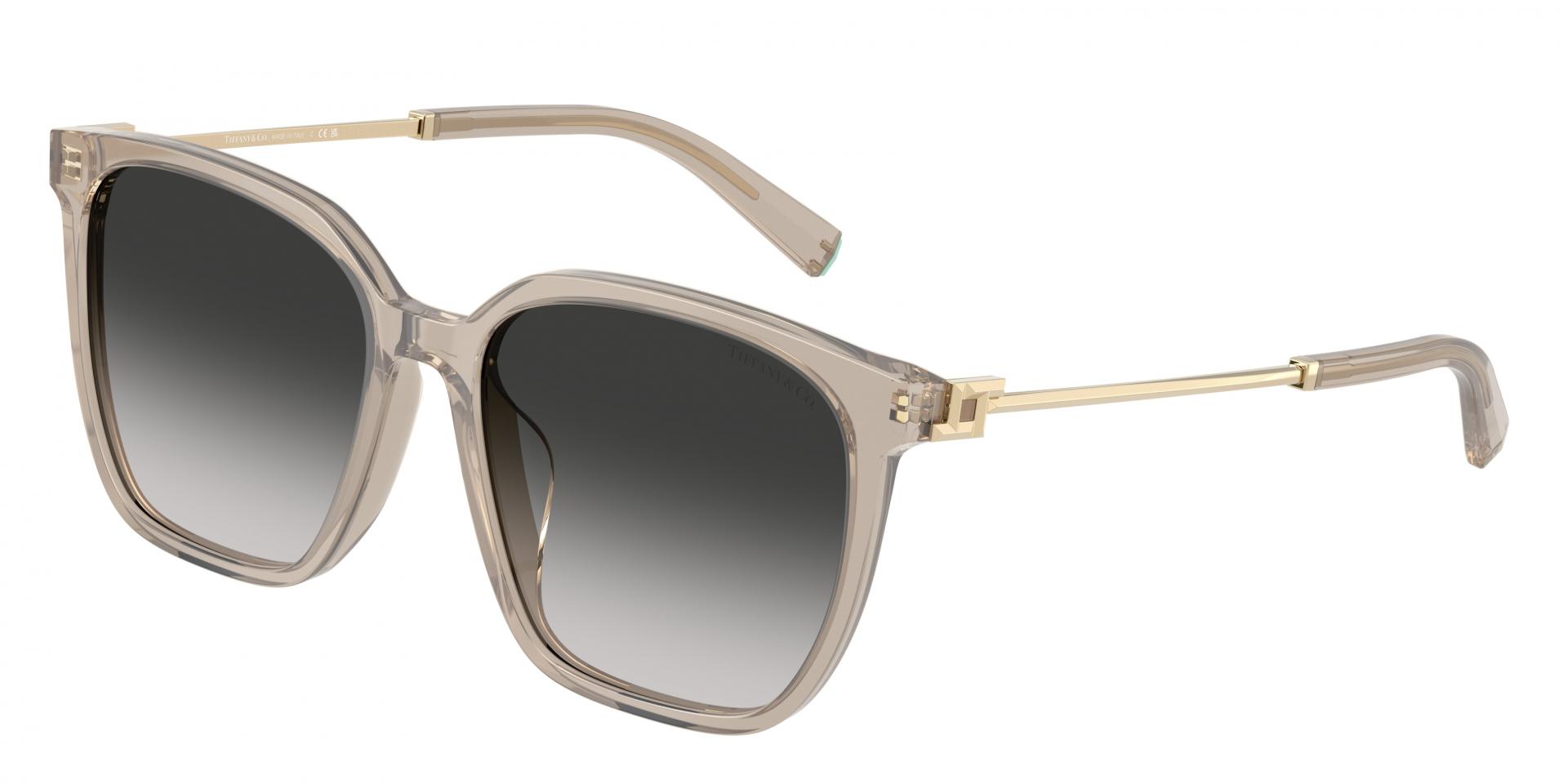 Occhiali da sole Chloé CH0133SA 001 8056376424980 | Ottica Lux