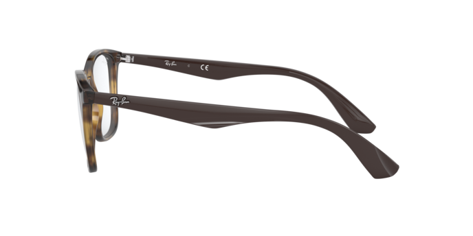 Occhiali da vista Ray-Ban RX7066 5577 8053672503425 | Ottica Lux