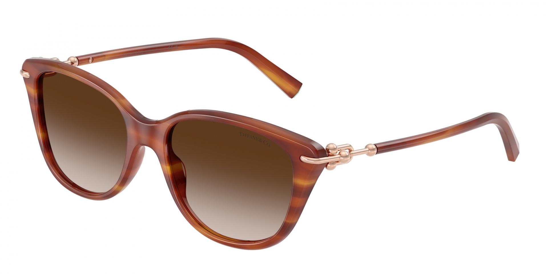 Sunglasses Tiffany & Co. TF4267 80153H 8056262943922 | Ottica Lux