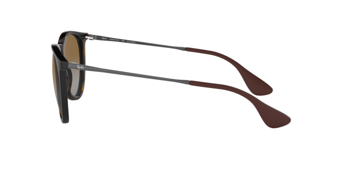 Sunglasses Ray-Ban RB4171 ERIKA 710/T5 8053672495744 | Ottica Lux Sunglasses Ray-Ban RB4171 ERIKA 710/T5 8053672495744 | Ottica Lux