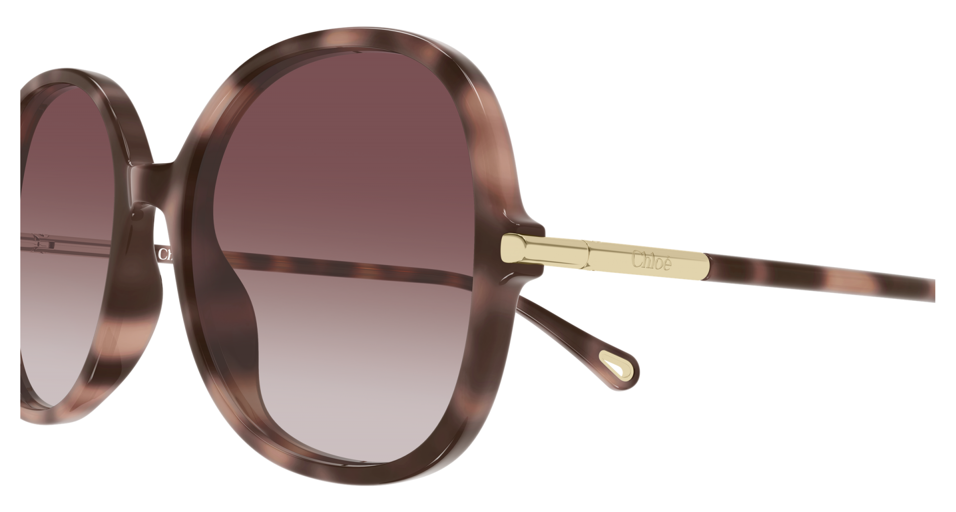 Sunglasses Chloé CH0383S 004 8056376661286 | Ottica Lux