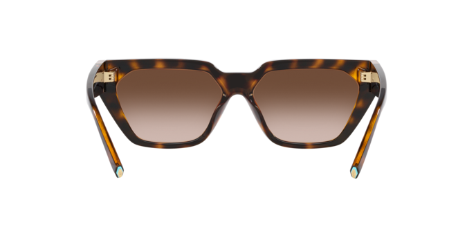 Sunglasses Tiffany & Co. TF4205U 80153B 8056597850810 | Ottica Lux Sunglasses Tiffany & Co. TF4205U 80153B 8056597850810 | Ottica Lux
