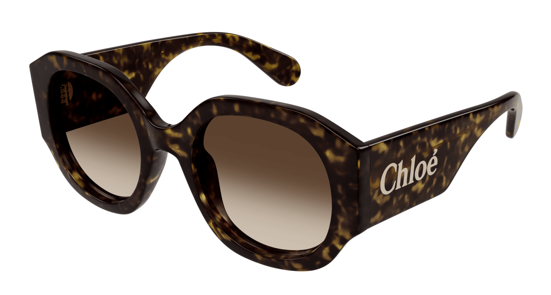 Occhiali da sole Chloé CH0234S 002 8056376502947 | Ottica Lux