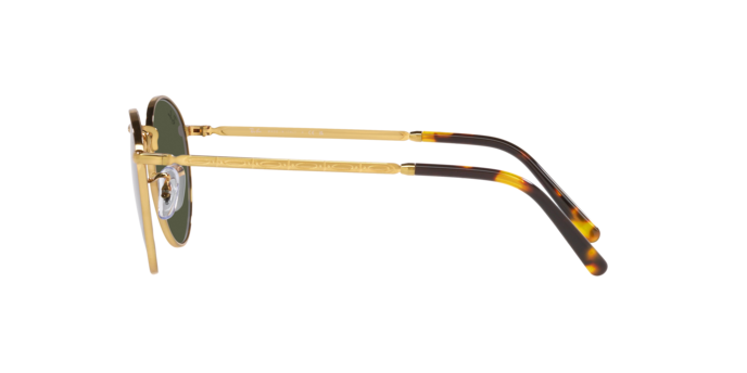 Occhiali da sole Ray-Ban RB3637 NEW ROUND 919631 8056597650335 | Ottica Lux