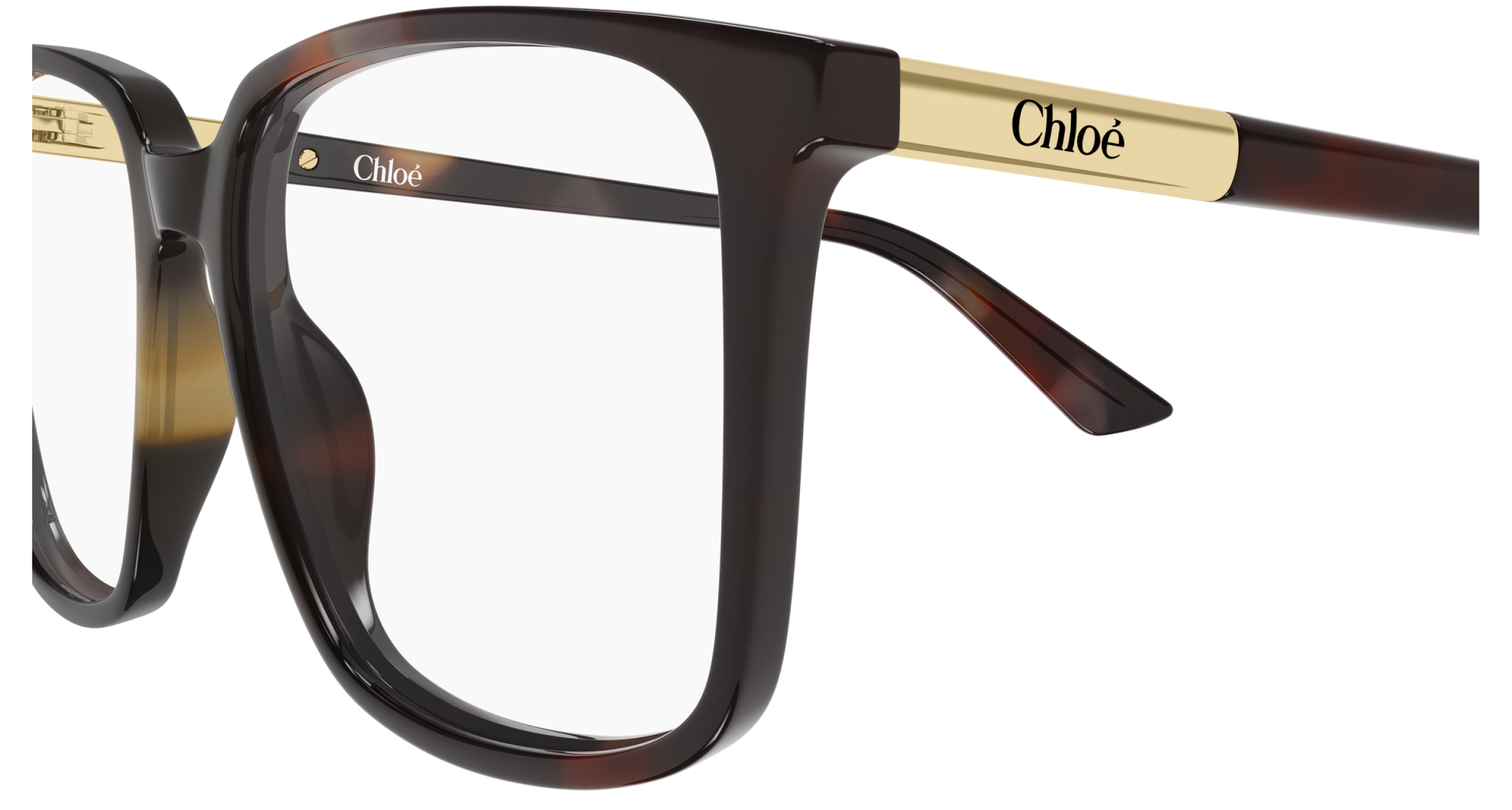 Occhiali da vista Chloé CH0369O 003 8056376660470 | Ottica Lux