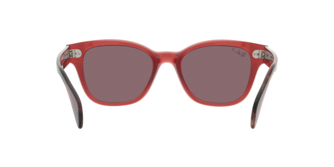 Occhiali da sole Ray-Ban RB0880S 6639AF 8056597720564 | Ottica Lux