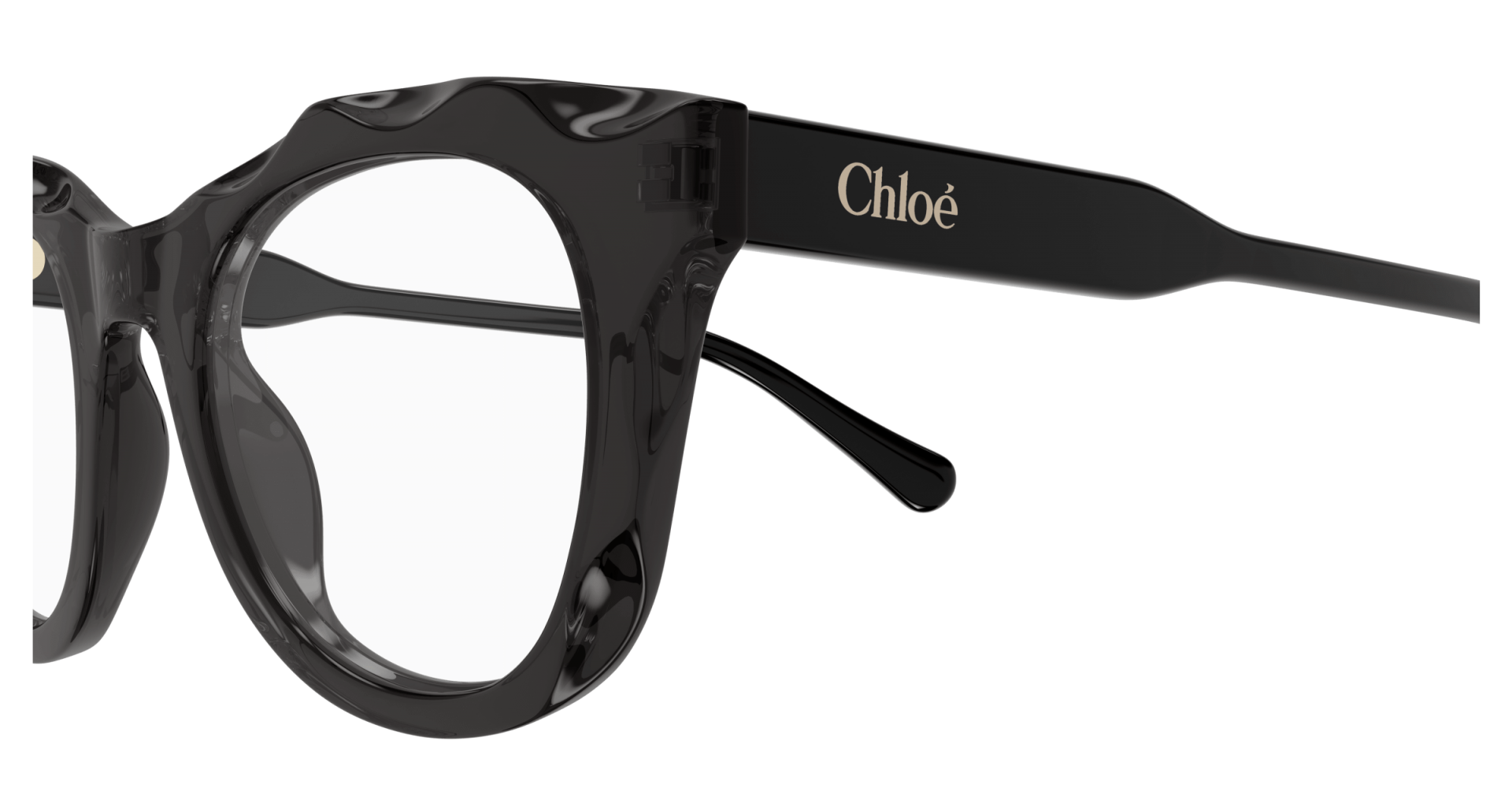 Ophthalmic frames Chloé CH0296O 001 8056376561418 | Ottica Lux