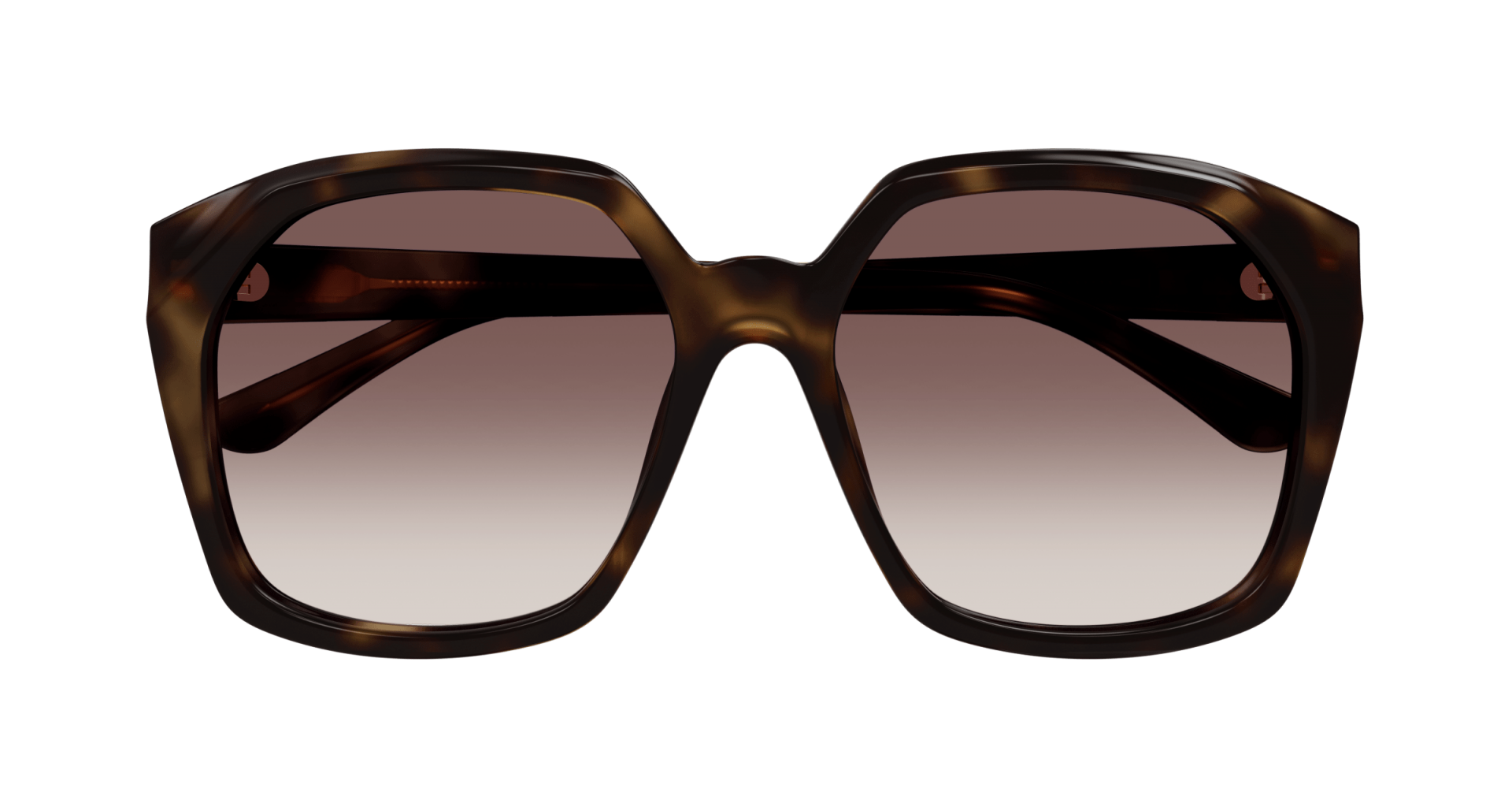 Sunglasses Chloé CH0280S 006 8056376541595 | Ottica Lux Sunglasses Chloé CH0280S 006 8056376541595 | Ottica Lux