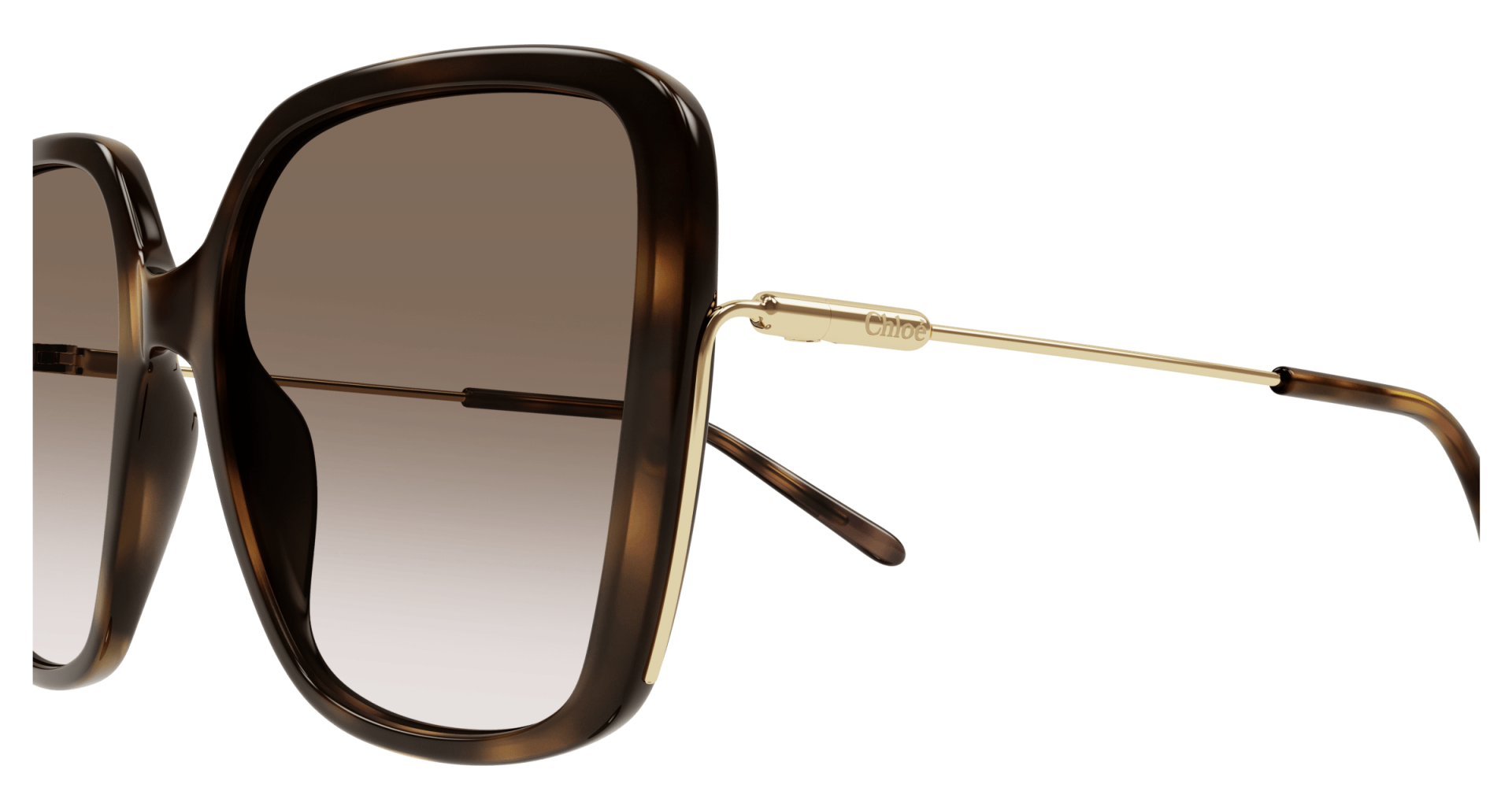 Sunglasses Chloé CH0173S 002 8056376445640 | Ottica Lux Sunglasses Chloé CH0173S 002 8056376445640 | Ottica Lux