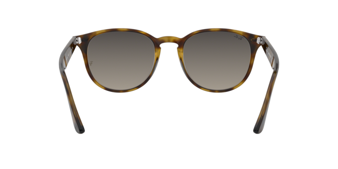 Occhiali da sole Ray-Ban RB4259 710/11 8053672790382 | Ottica Lux