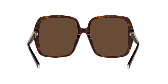 Sunglasses Tiffany & Co. TF4213 83929S 8056597916158 | Ottica Lux