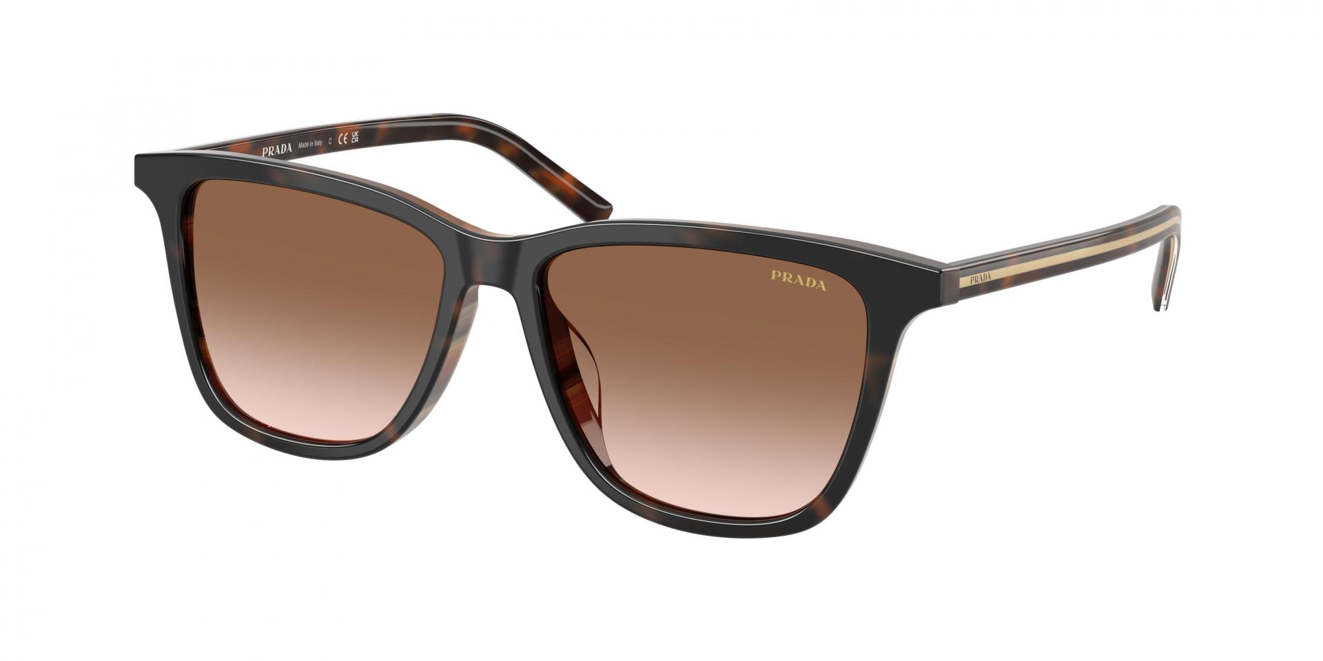 Sunglasses Versace VE2308D 152369 8056262974797 | Ottica Lux