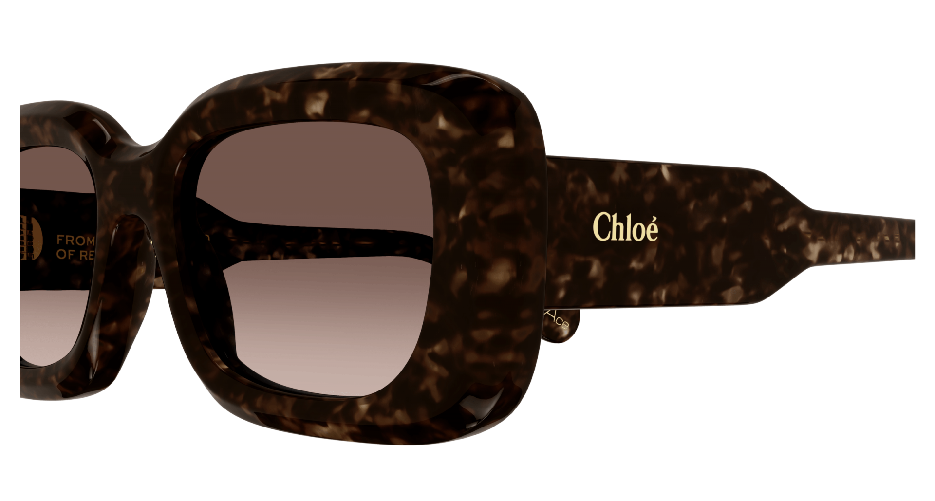Occhiali da sole Chloé CH0188S 002 8056376471038 | Ottica Lux