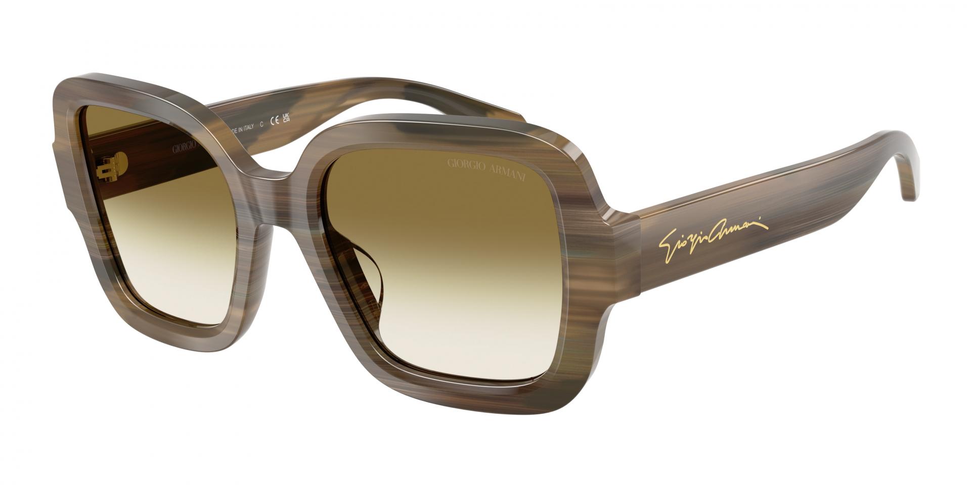 Sunglasses Giorgio Armani AR8268U 587587 8056262992159 | Ottica Lux