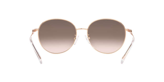 Sunglasses Michael Kors MK1119 ALPINE 11088Z 0725125388658 | Ottica Lux