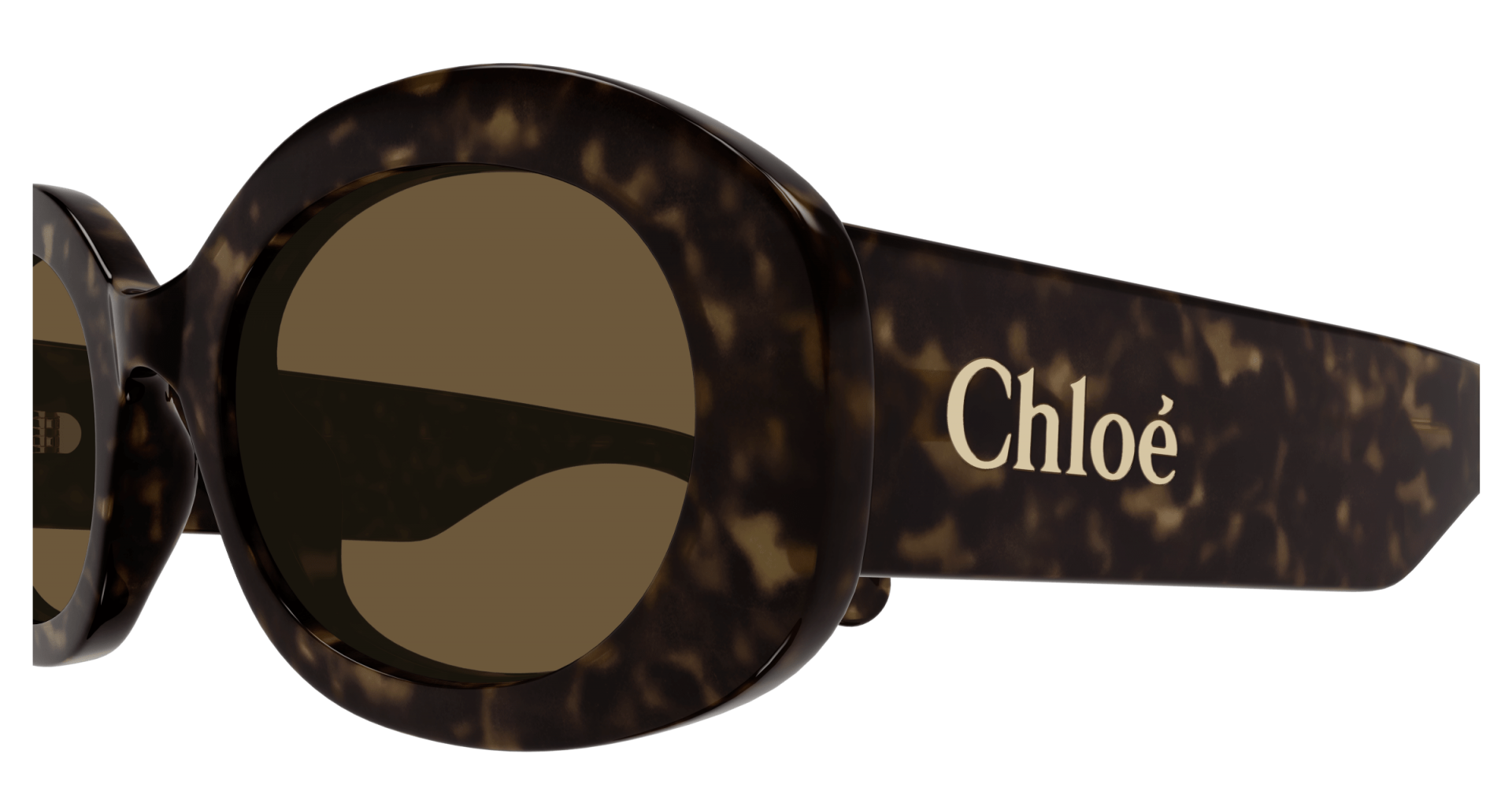 Sunglasses Chloé CH0258S 002 8056376533460 | Ottica Lux Sunglasses Chloé CH0258S 002 8056376533460 | Ottica Lux