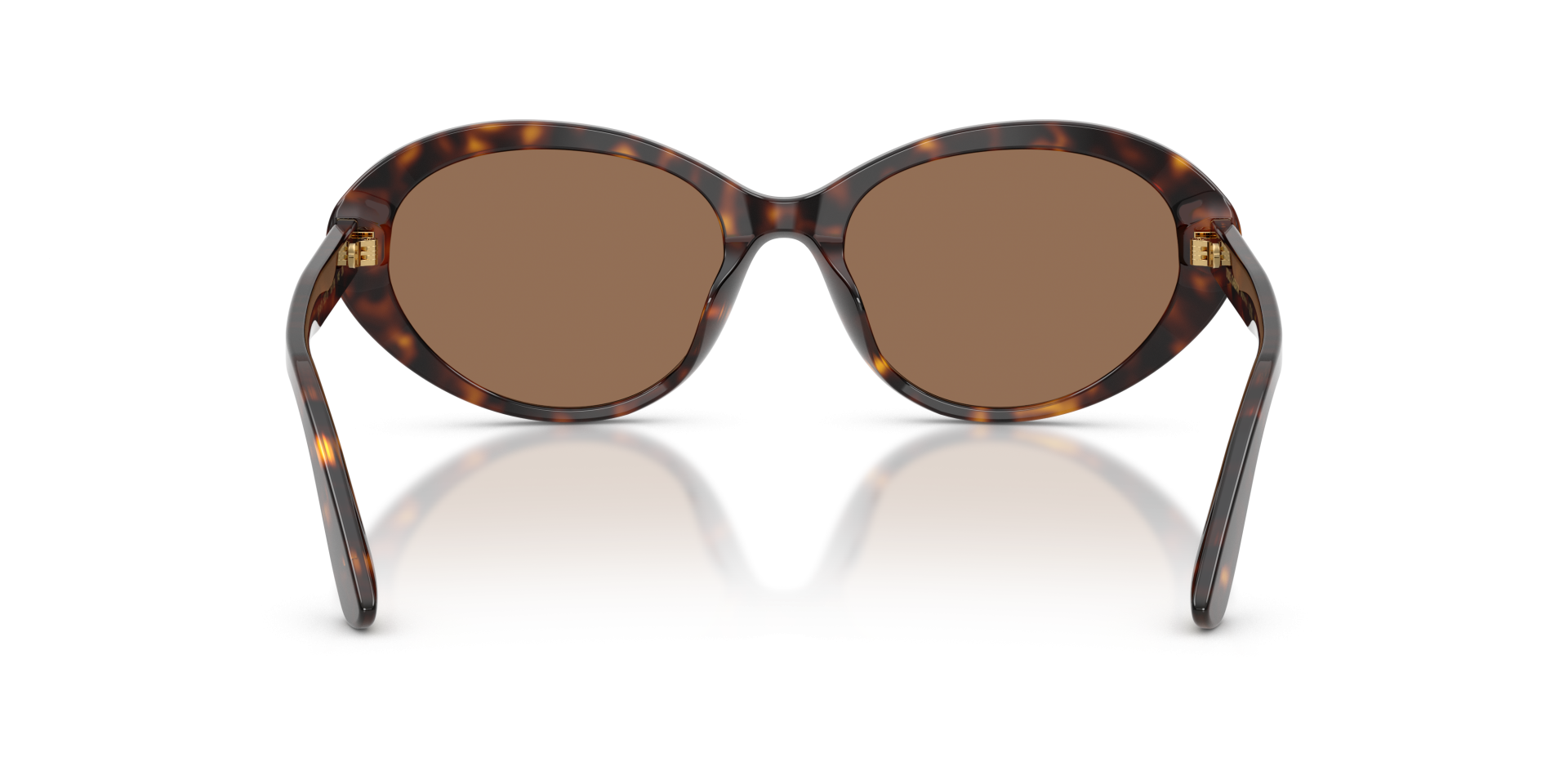 Sunglasses Dolce & Gabbana DG4570 502/73 8056266003646 | Ottica Lux