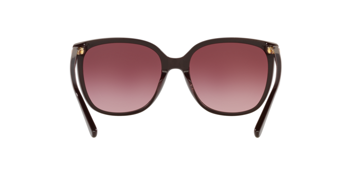 Occhiali da sole Michael Kors mk2137u ANAHEIM 4003M5 0725125533393 | Ottica Lux