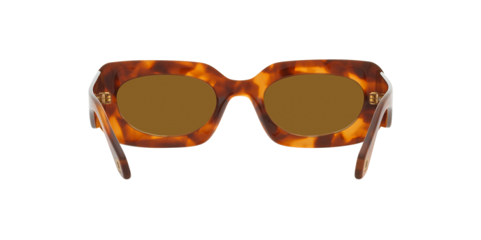 Sunglasses Giorgio Armani AR8182 598833 8056597851961 | Ottica Lux