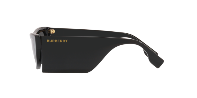 Occhiali da sole Burberry BE4385 PALMER 300187 8056597787482 | Ottica Lux