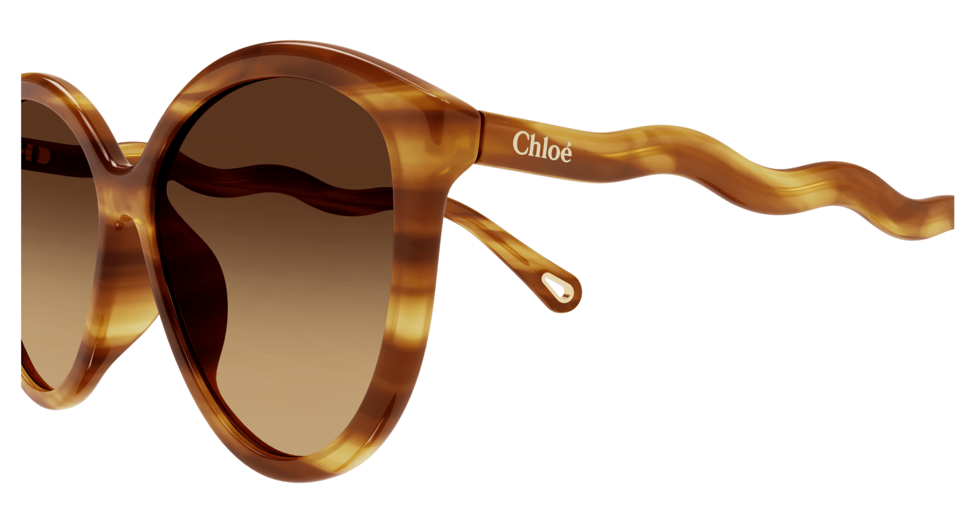 Occhiali da sole Chloé CH0087S 002 8056376395556 | Ottica Lux
